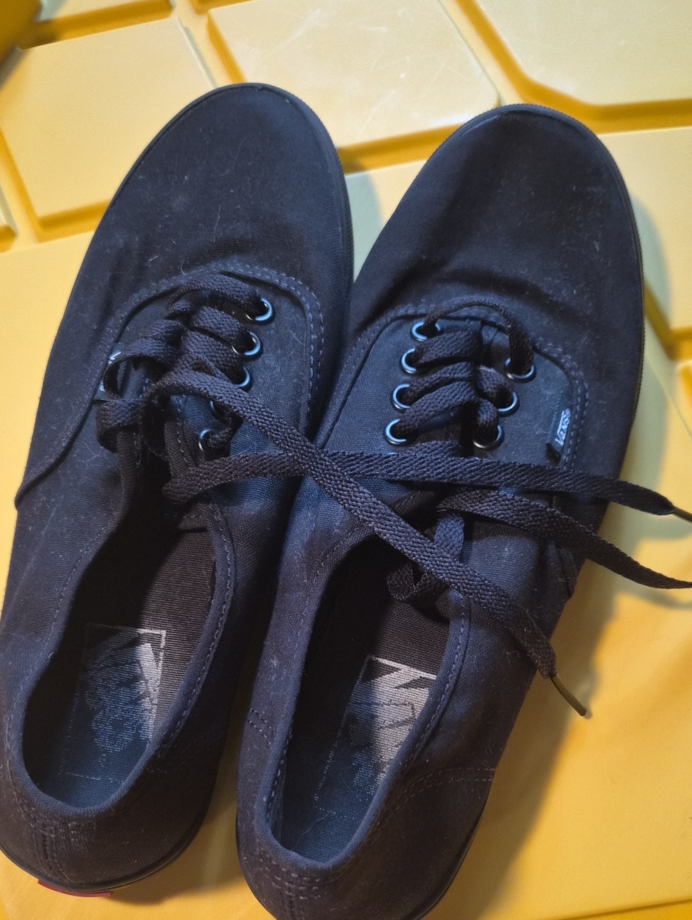 Black Canvas unisex Vans Lace-Up Sneakers
